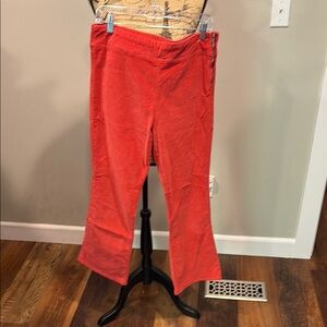 Free People pink velvety soft Pants